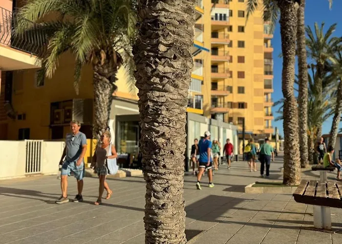 Acogedor Bajo En Playa Del Cura * Torrevieja